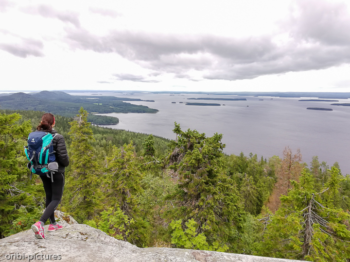 *Koli-Nationalpark*<br><br>Blick über die Inselwelt<br><br>