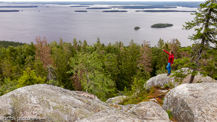 *Aussicht im Koli-Nationalpark*<br><br>Höchste Erhebung im Park<br><br>