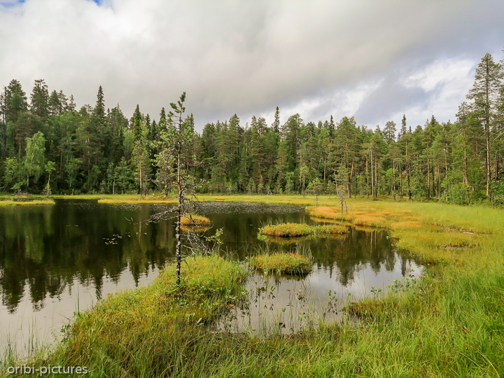 *Seen und Wald*<br><br>Oulanka-Nationalpark<br><br>