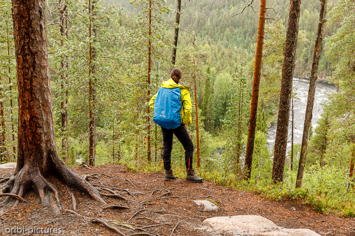 *Auf der kleinen Bärenrunde*<br><br>Oulanka-Nationalpark<br><br>
