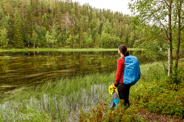 *Auf der kleinen Bärenrunde*<br><br>Oulanka-Nationalpark<br><br>