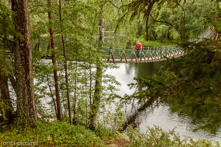 *Hängebrücke*<br><br>Oulanka-Nationalpark<br><br>