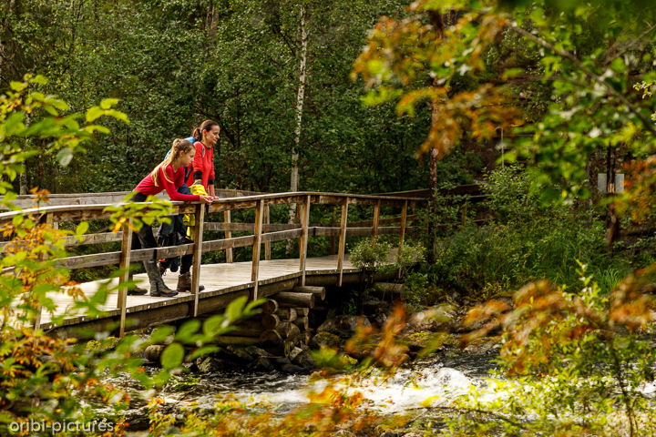 *Die wilden Wasser beobachten*<br><br>Oulanka-Nationalpark<br><br>