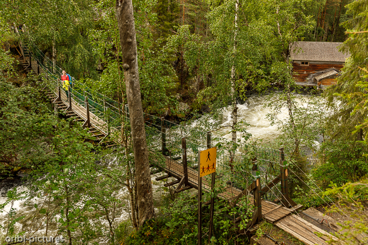 *Oulanka-Nationalpark*<br><br>Auf der Bärenrunde<br><br>