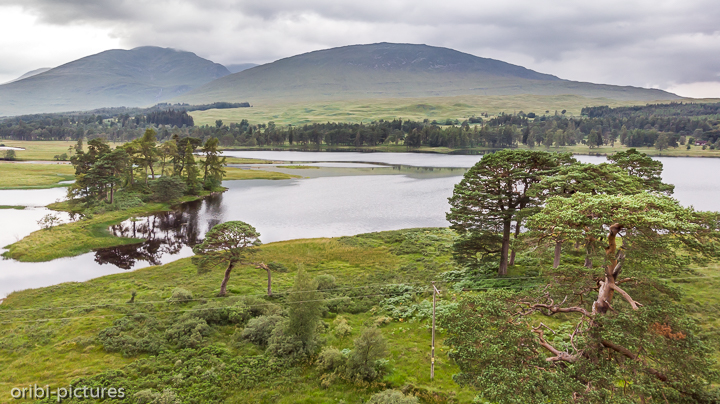 *Im Loch-Lomond-and-the-Trossachs-Nationalpark*<br><br><br><br>