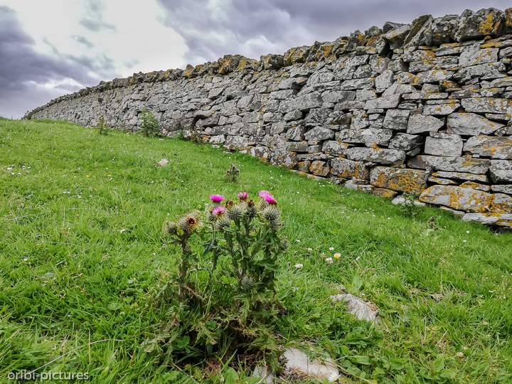 *Durness*<br><br><br><br>