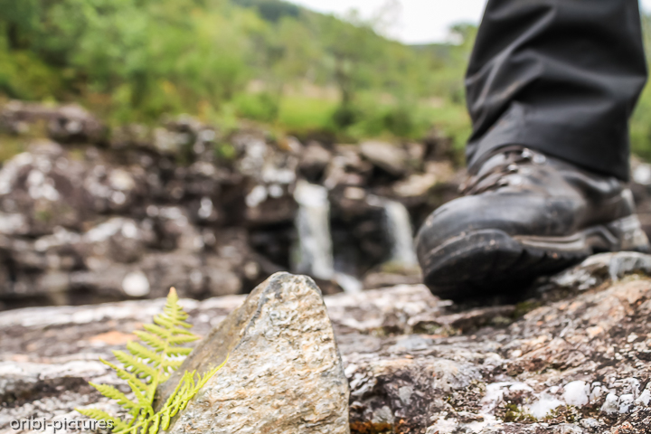 *Im Loch-Lomond-and-the-Trossachs-Nationalpark*<br><br><br><br>