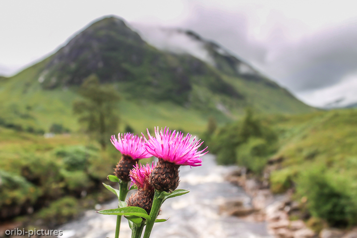 *Loch-Lomond-and-the-Trossachs-Nationalpark*<br><br><br><br>