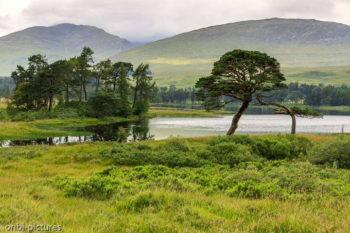 *Im Loch-Lomond-and-the-Trossachs-Nationalpark*<br><br><br><br>