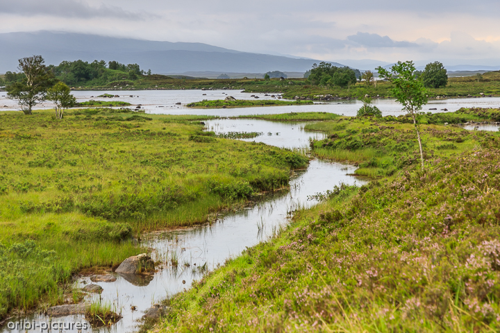 *Im Loch-Lomond-and-the-Trossachs-Nationalpark*<br><br><br><br>