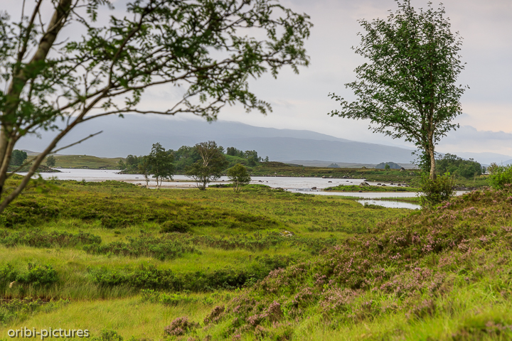 *Im Loch-Lomond-and-the-Trossachs-Nationalpark*<br><br><br><br>