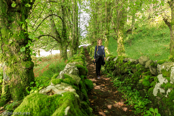 *Auf der Isle of Mule*<br><br><br><br>