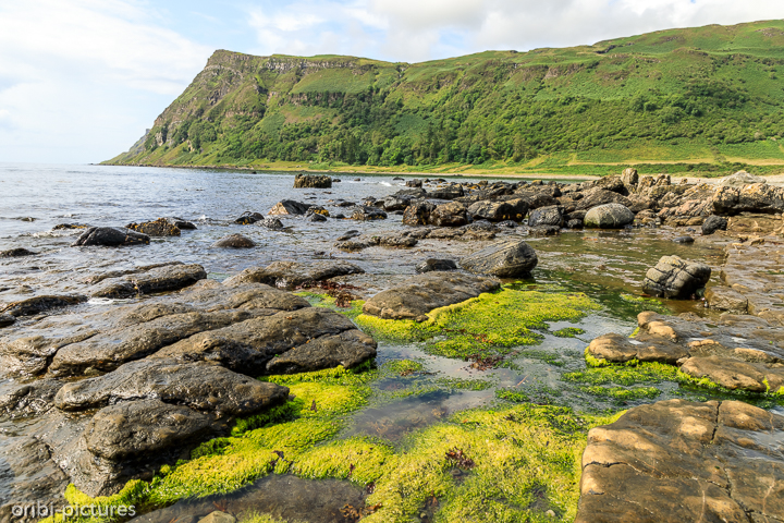 *Auf der Isle of Mule*<br><br><br><br>