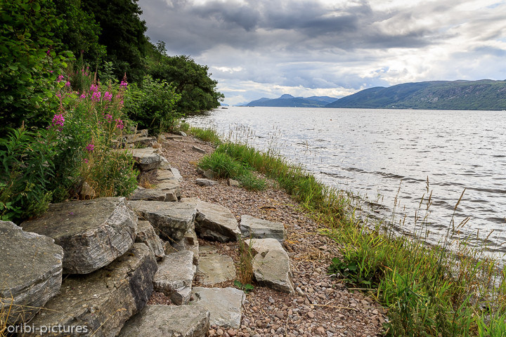 *Loch Ness*<br><br><br><br>