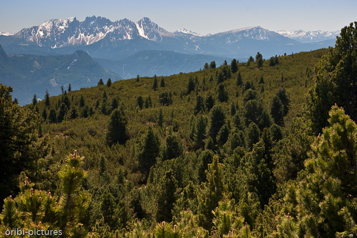 *Auf dem Rittner Horn (2.260 m), Südtirol* <br><br> Eine familienfreundliche, kinderwagentaugliche Wanderung erlebten wir auf dem Rittner Horn. <br><br>