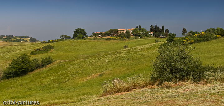 *Grüne Hügel der Toskana* <br><br> Chianti-Gebiet zwischen Florenz und Siena <br><br>