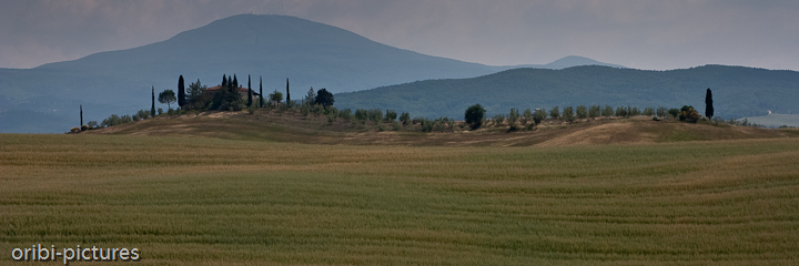 *Toskana-Panorama* <br><br> Ein typisches Bild der Toskana, deren schönste Ecken man südöstlich von Siena findet. <br><br>
