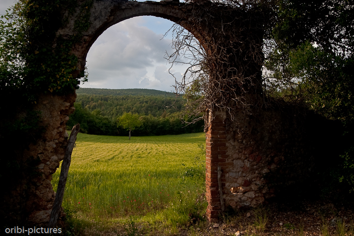 *Landschaft der Toskana II* <br><br> Unterwegs 7 km westlich von Siena aufgenommen. <br><br>
