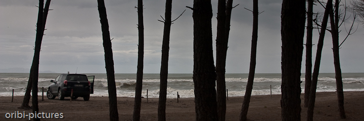 *Pause am Strand von Maremma, Toskana* <br><br> Trotz schlechten Wetters war dieser Strand ein ganz besonderer für uns; es lag vermutlich an der wilden Naturbelassenheit und der Einsamkeit an diesem Tag. <br><br>