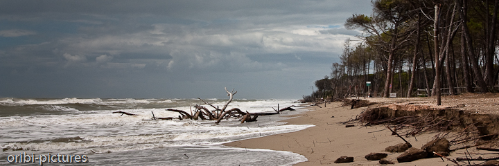 *Parco Regionale della Maremma, Toskana* <br><br> Wir ließen uns die warmen Wellen des Mittelmeeres um die Beine spülen und genossen die unberührte Natur, die bis ins Meer reichte. <br><br>