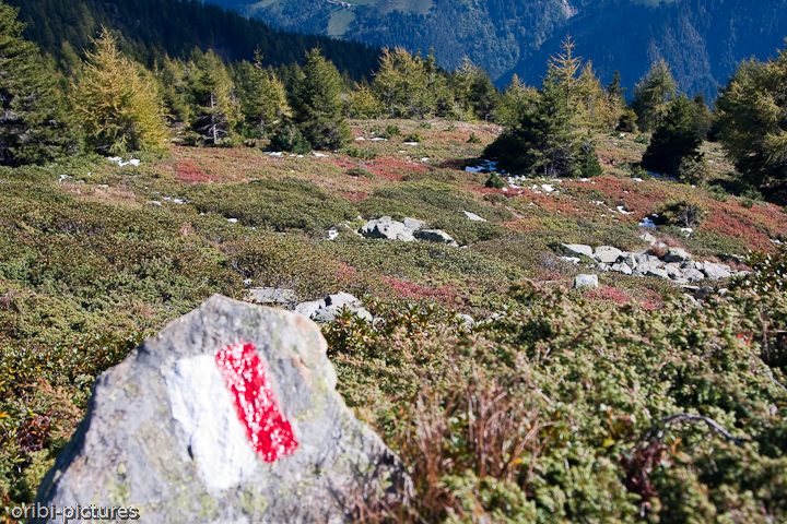 *Naturnser Alm* <br><br> Wanderweg entlang der Naturnser Alm <br><br>