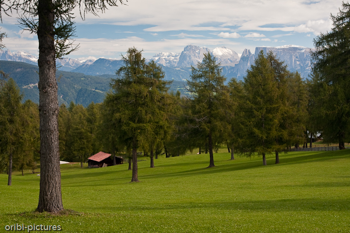 *Almhütte* <br><br> aber ohne Gastwirtschaft <br><br>