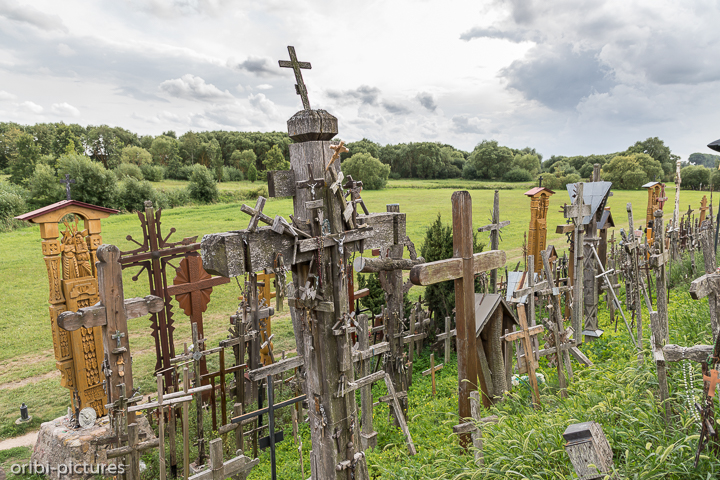 *Kein Friedhof*<br><br><br><br>