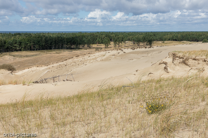 *Blick von Litauens höchster Düne*<br><br><br><br>