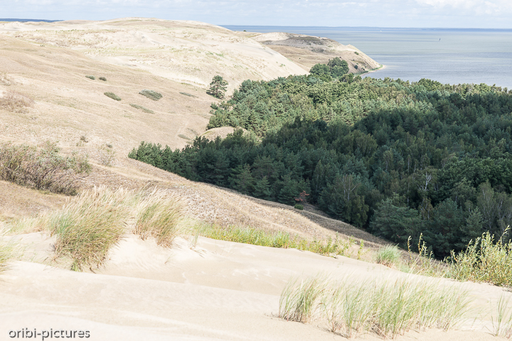 *Dünenlandschaft*<br><br><br><br>