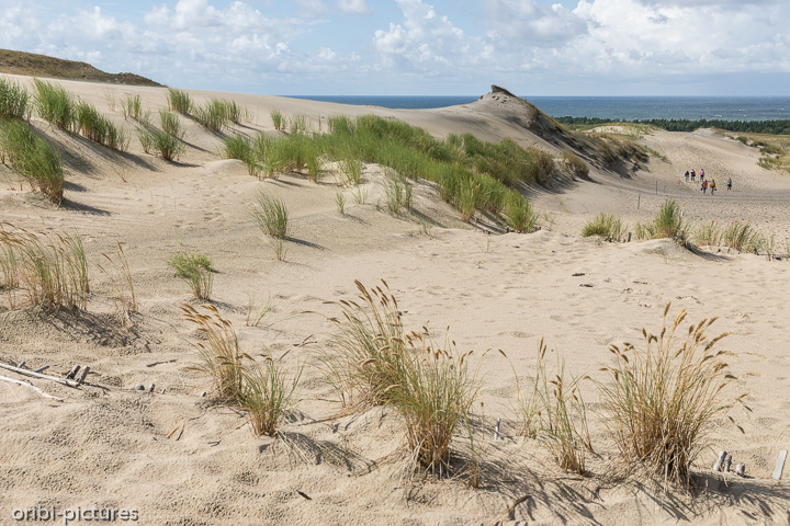 *Sand und Meer*<br><br><br><br>