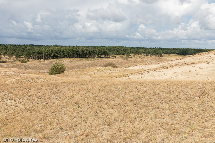 *Waldmeer, Sandmeer, dann nichts mehr*<br><br><br><br>