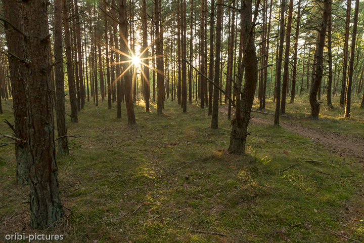 *Sonnenaufgang*<br><br><br><br>