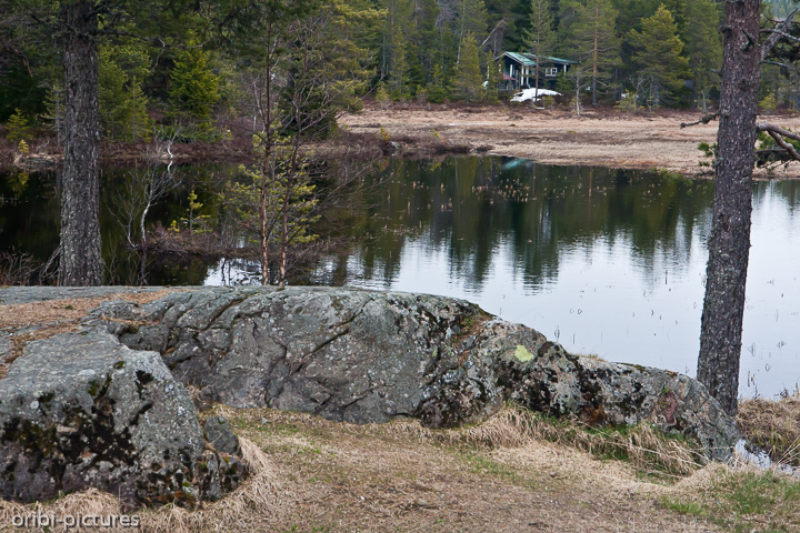*Lillehammer*<br><br>Eine See unweit der Olympiastadt von 1994.<br><br>