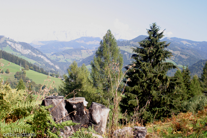 *Anfang des Jahrtausends im Salzburger Land*<br><br><br><br>