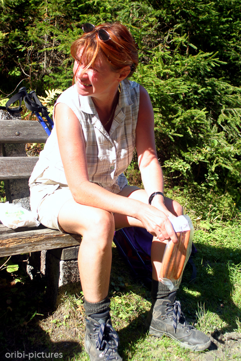 *Anfang des Jahrtausends im Salzburger Land*<br><br><br><br>