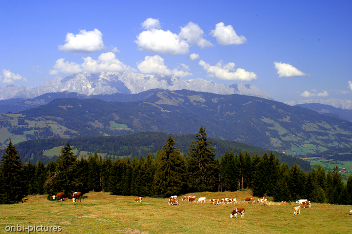 *Anfang des Jahrtausends im Salzburger Land*<br><br><br><br>