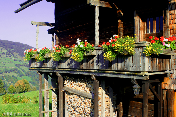 *Anfang des Jahrtausends im Salzburger Land*<br><br><br><br>