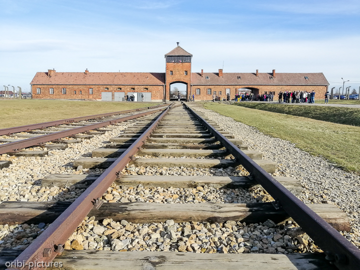 *Auschwitz*<br><br><br><br>