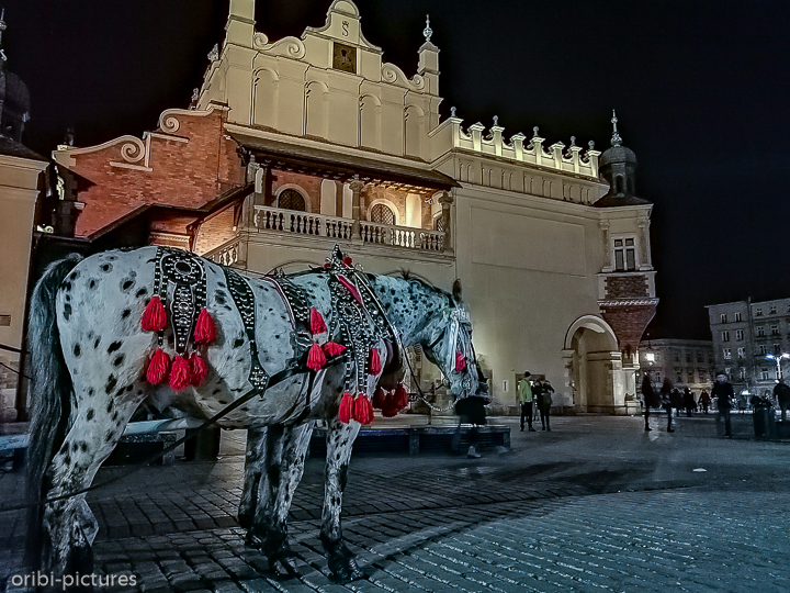 *Krakau bei Nacht*<br><br><br><br>