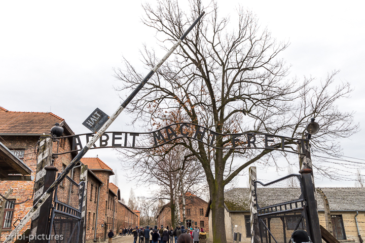 *Auschwitz*<br><br><br><br>