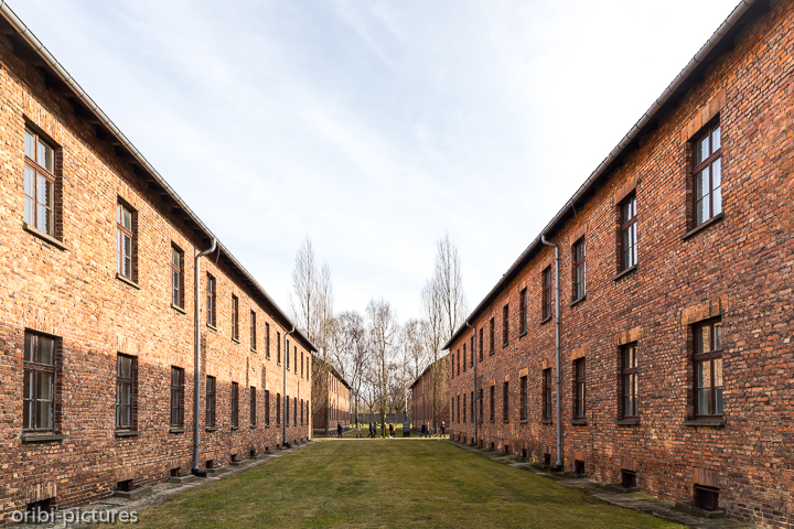 *Auschwitz*<br><br><br><br>