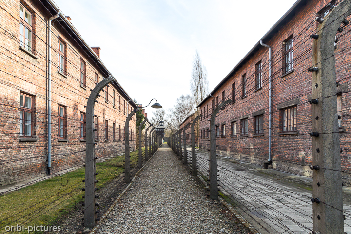 *Auschwitz*<br><br><br><br>