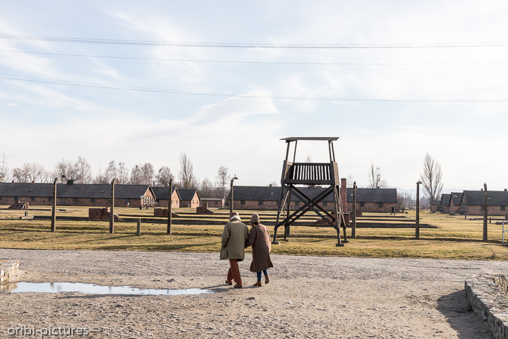 *Auschwitz*<br><br><br><br>