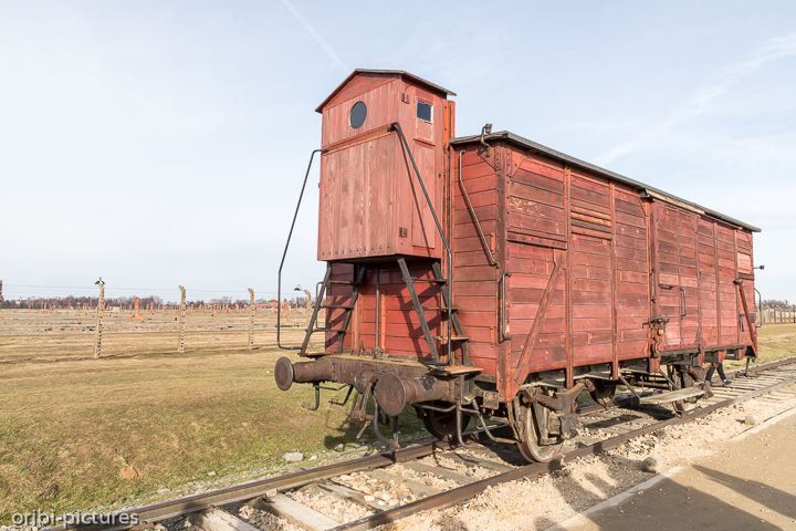 *Auschwitz*<br><br><br><br>