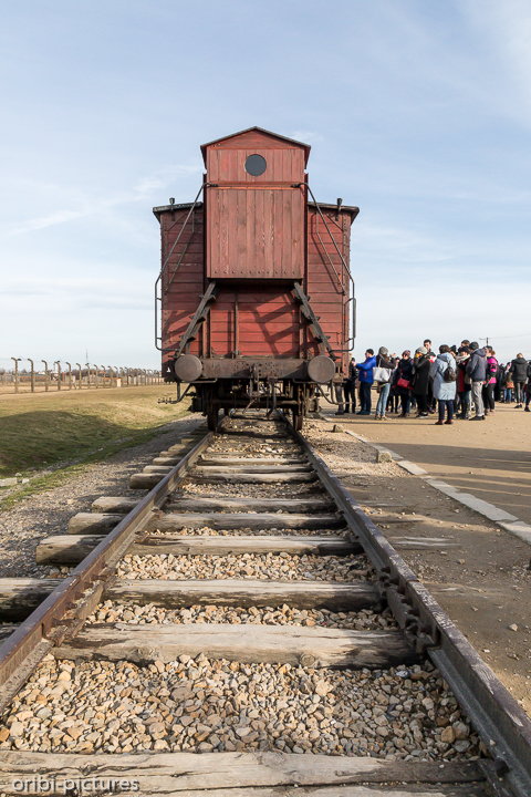 *Auschwitz*<br><br><br><br>