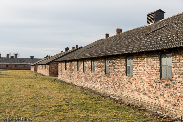 *Auschwitz*<br><br><br><br>