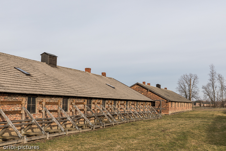 *Auschwitz*<br><br><br><br>