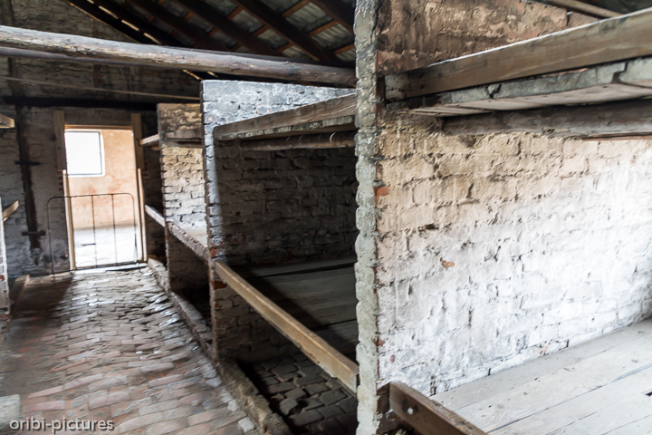 *Auschwitz*<br><br><br><br>