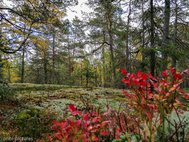 *Unterwegs südlich von Stockholm*<br><br><br><br>