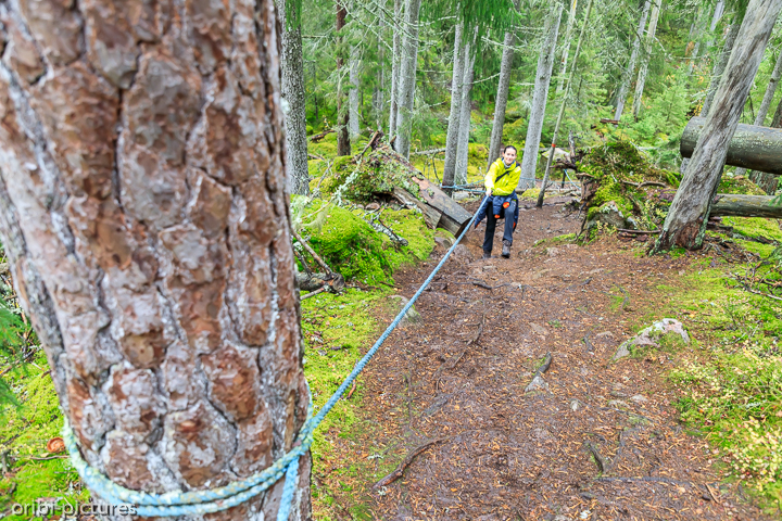 *Norra Kvills Nationalpark*<br><br><br><br>